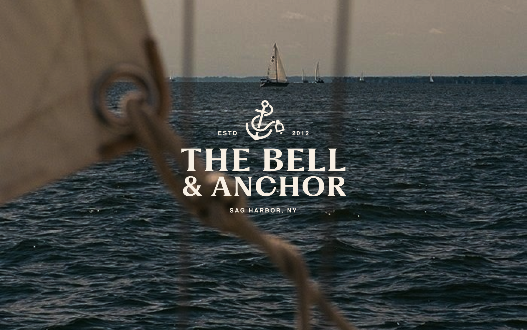 Logo on colored background