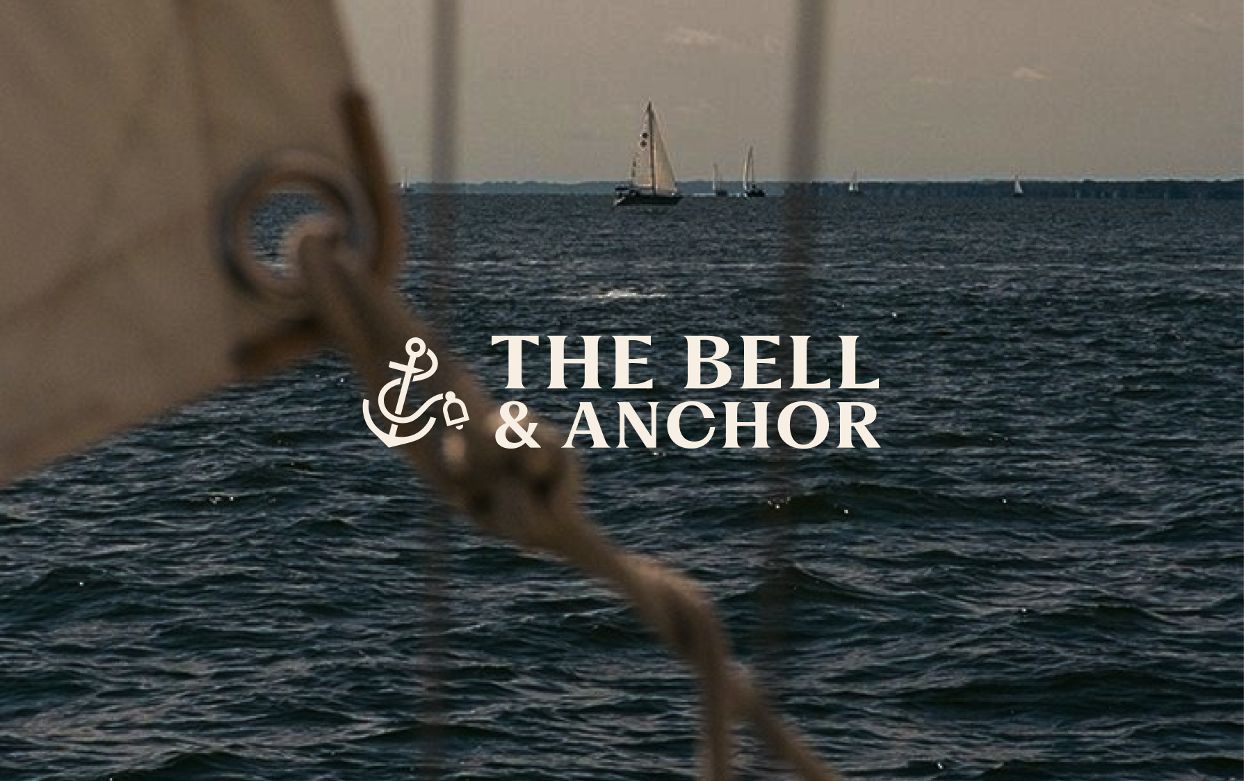 Logo on colored background